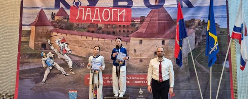 Межрегиональные соревнования по тхэквондо ВТФ «Кубок Ладоги»