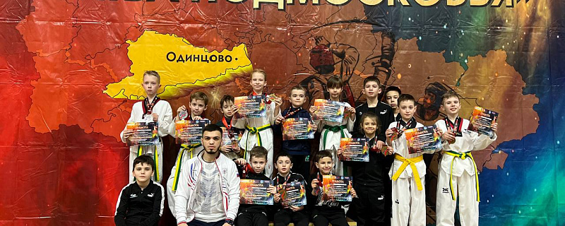 Открытый фестиваль по тхэквондо «Битва Подмосковья»