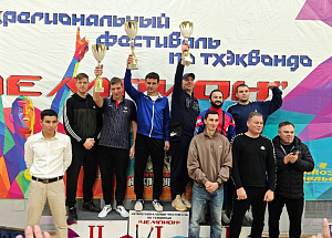Межрегиональные соревнования по тхэквондо "Чемпион" 2025